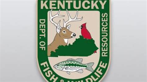 kentucky fishing license|License and Permit Fees .